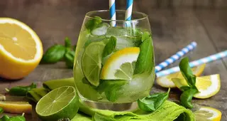 Citron Basilic