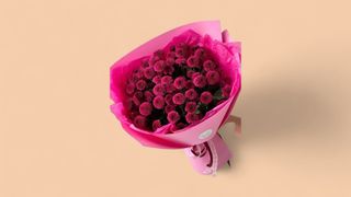 Pompon Chrysanthemum 