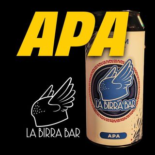 LBB APA