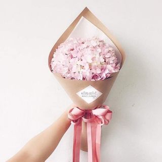 ვარდისფერი  ჰორტენზია