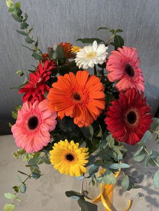 Ram Gerberes Variades