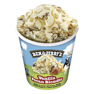 B&J Vanilla Pecan 465ml