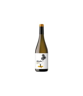 Finca Collado Blanco– Alicante, España (75 Cl.)