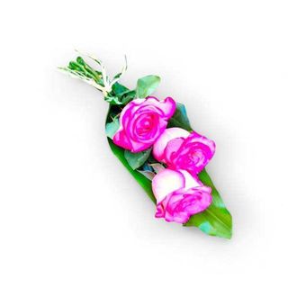 3 Rosas Rosa