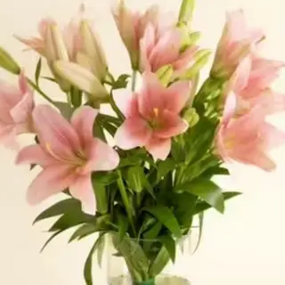 RAMO LILIUM ROSA
