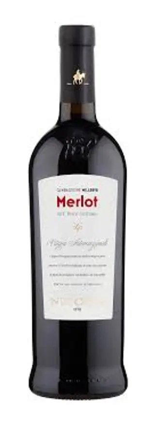 Merlot 898 Cantine Nicosia IGT Sicilia 13%