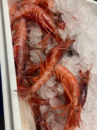 Gamberi rossi Mazara del Vallo