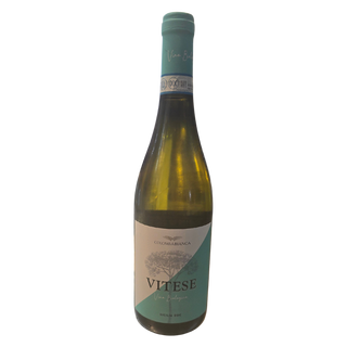 Vitese Chardonnay - Colomba Bianca 