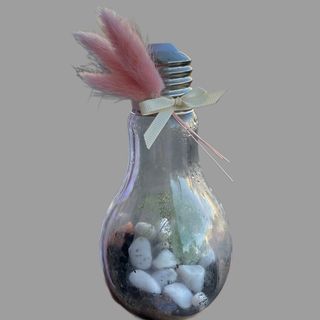 Mini las w szkle- asparagus 