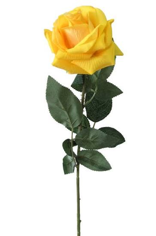 Rosa gialla singola