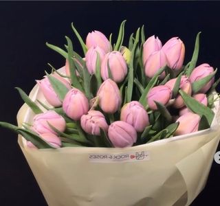 Bukiet 23 tulipanów - świeżość i kolor