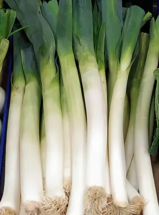 Puerros Manojo