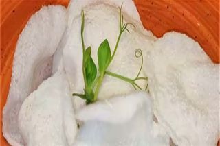 A4. Nuvole di gamberi