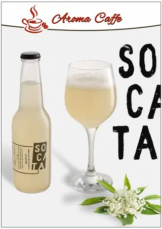 Socata