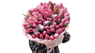 #18 101 różowych tulipanów