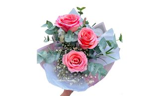 ვარდისფერი ვარდი (3)