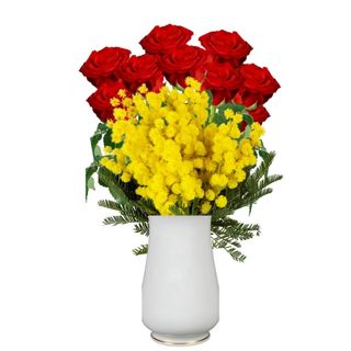 Mimosa con 12 alta  rose 