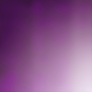 05 Pane cinese al vapore - 2 pezzi