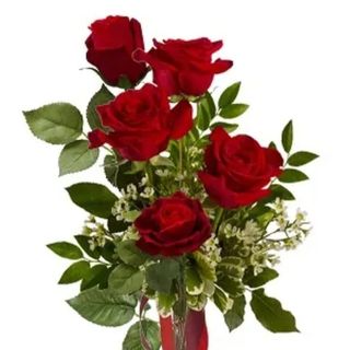 5 Rose rosse  gambo lungo 