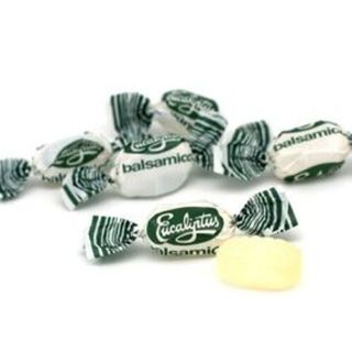 Eucaliptus (100 Gr.)