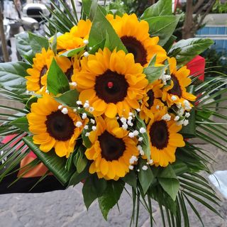 O’ sole mio . Bouquet di girasoli