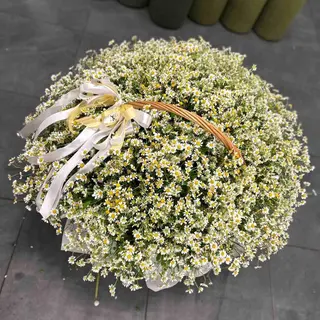 Корзина з танацетумом.