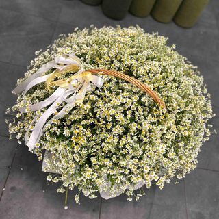 Корзина з танацетумом.