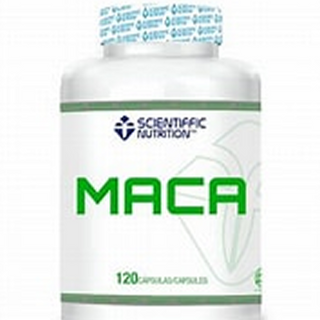 MACA