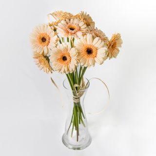 Bukiet z gerber