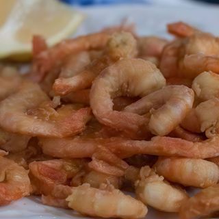 Gambusin Frito