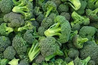 BROCCOLI A ROSETTE GR 500