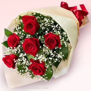 7 Rose rosse naomi
