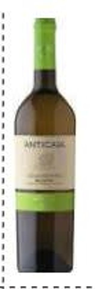 1002. Chardonnay Anticaia IGP 75 cl