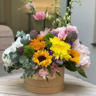 summer sun box