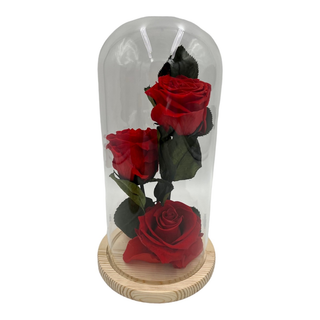 Bella y Bestia (3 rosas)