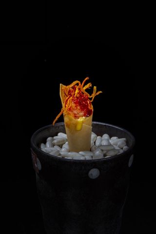 Salmon cone - 1 pezzo