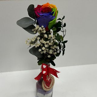  JR1-ROSA ARCOIRIS PARA SIEMPRE