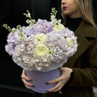 Лавандовий затишок 