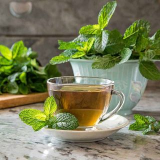 Peppermint Tea