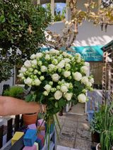 თეთრი ვარდები