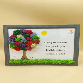 Tablou cu licheni pentru doamna Diriginta - 20x30