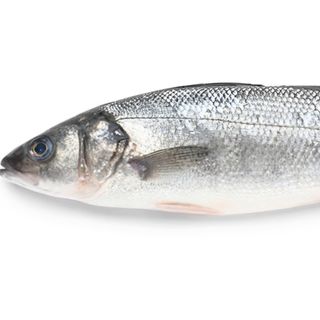 Branzino Italia