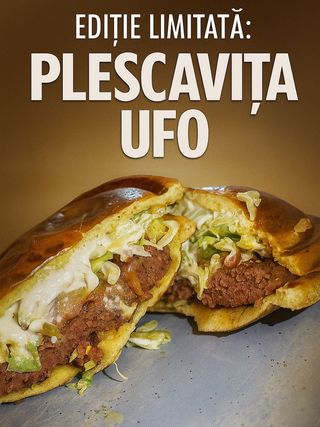Plescavita UFO G