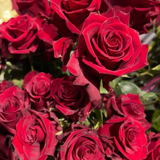 Bukiet z 5 długich czerwonych róż