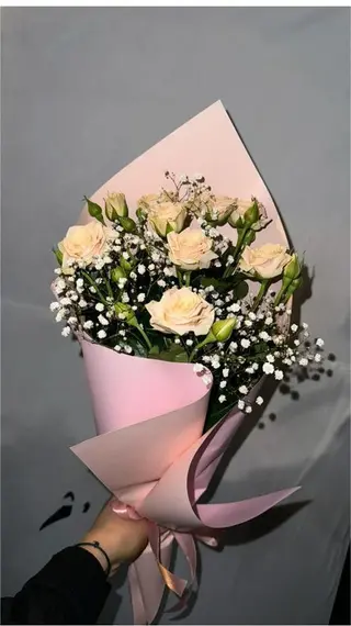 ჰოლანდიური ქრიზანთემა