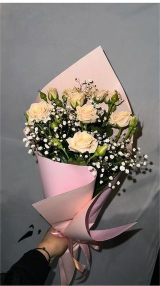 ჰოლანდიური ქრიზანთემა