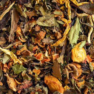 Ceai alb Spring Sunshine