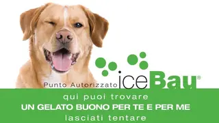 Gelato per l'amico a 4 zampe