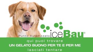 Gelato per l'amico a 4 zampe