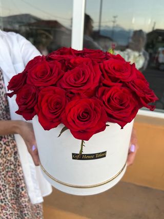 თაიგული 61